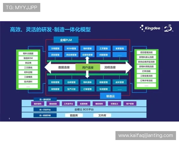 凯发集团有限公司：数字化转型背景下的企业升级路径探索