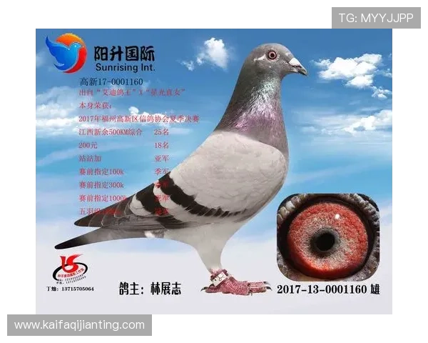 AG国际手机版下载免费下载攻略，轻松掌握各种游戏玩法技巧